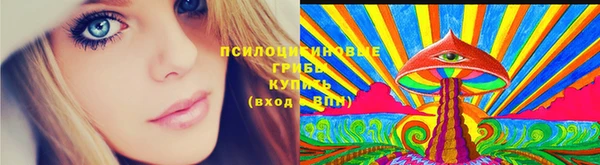 ГАЛЛЮЦИНОГЕННЫЕ ГРИБЫ Армянск