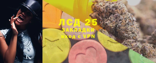 ГАЛЛЮЦИНОГЕННЫЕ ГРИБЫ Армянск