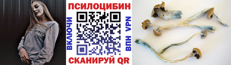 Галлюциногенные грибы Magic Shrooms  Семилуки 